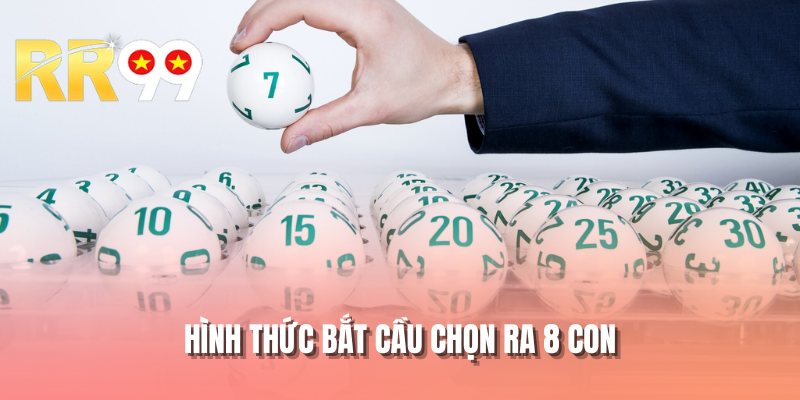 Hình thức bắt cầu chọn ra 8 con