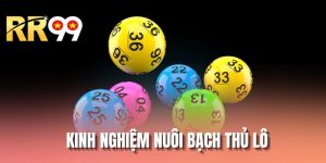 Kinh Nghiệm Nuôi Bạch Thủ Lô - Hình Thức Cá Cược Đỉnh Cao
