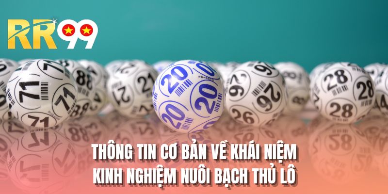 Thông tin cơ bản về khái niệm kinh nghiệm nuôi bạch thủ lô